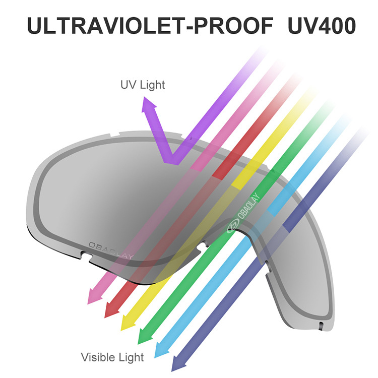 Ski Snowboard Goggles Double Layers UV Anti-fog - F28374