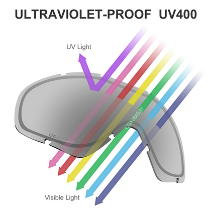 Ski Snowboard Goggles Double Layers UV Anti-fog - F28374
